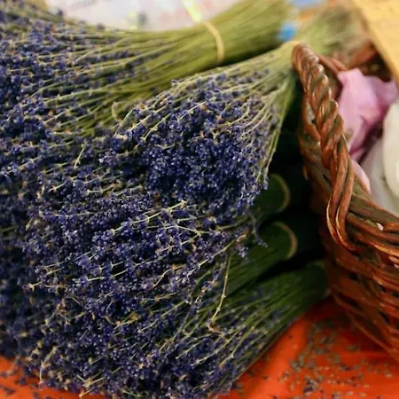 Vieille - Centre Historique &