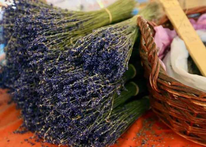 Vieille - Centre Historique&plage